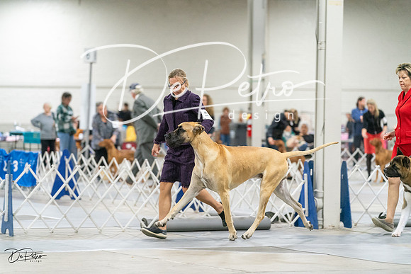 20231029-DSC08246