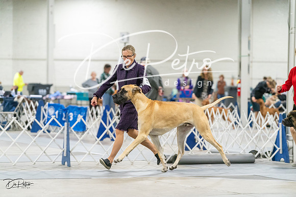 20231029-DSC08252