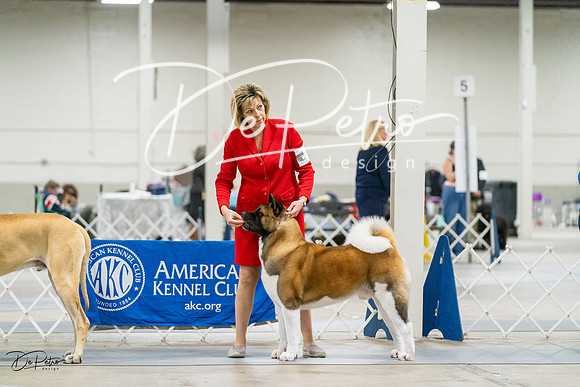 20231029-DSC08270