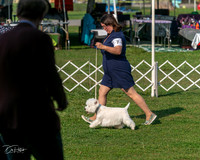20240913-DSC00109