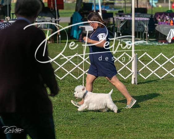 20240913-DSC00109