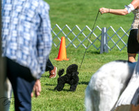 20250629-DSC01029