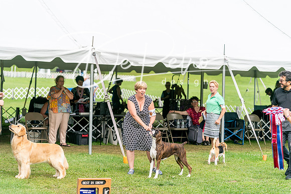 20240630-DSC05752