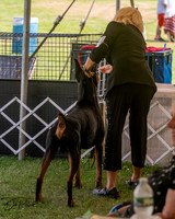 20250628-DSC07985