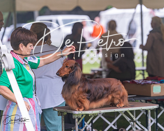 20250626-DSC04608