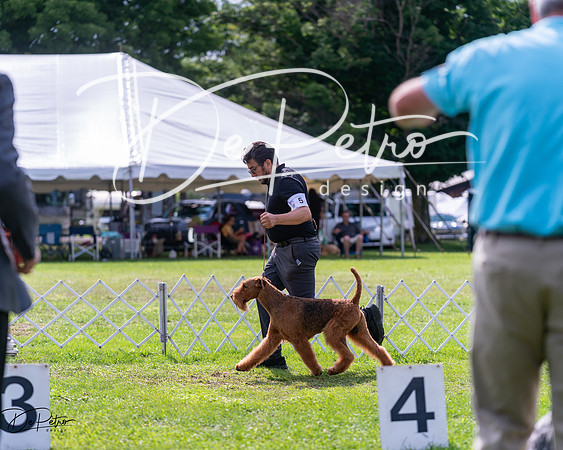 20240630-DSC03712