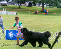 20250626-DSC04142