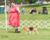 20250628-DSC08322