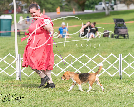 20250628-DSC08322