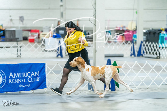 20231026-DSC01557