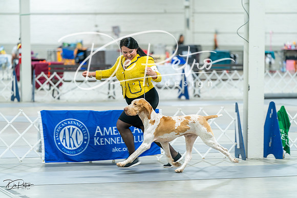 20231026-DSC01562