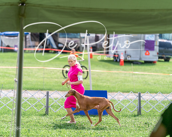 20240815-DSC06961