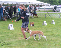 20250626-DSC04419