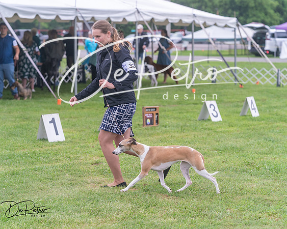 20250626-DSC04419