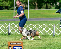 20250629-DSC00838