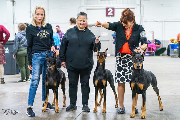 20231029-DSC06202-Enhanced-NR