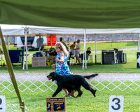 20240815-DSC07938