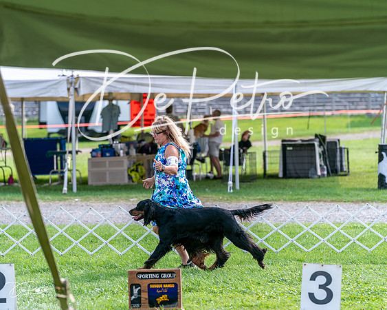 20240815-DSC07938