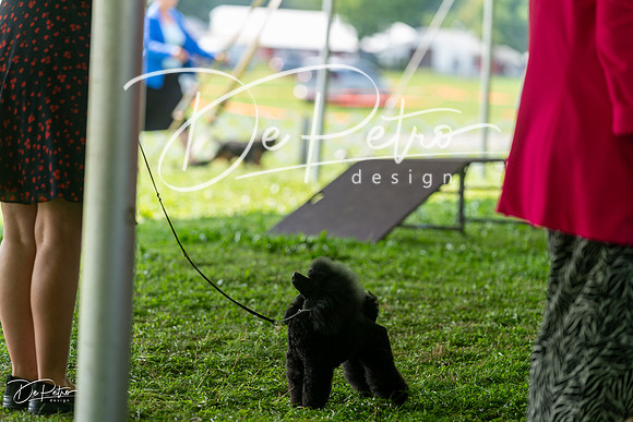 20240816-DSC00200