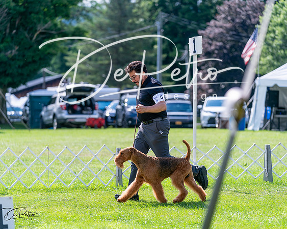 20240630-DSC03395