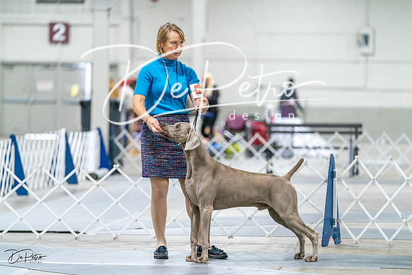 20231029-DSC09301