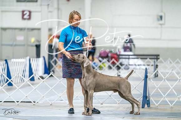 20231029-DSC09305