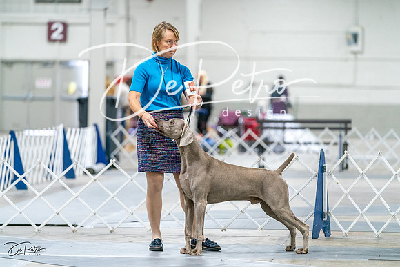 20231029-DSC09300