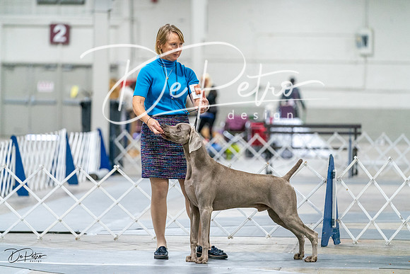 20231029-DSC09304
