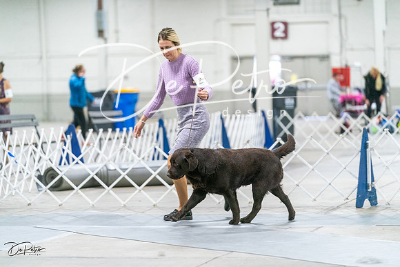 20231029-DSC00006