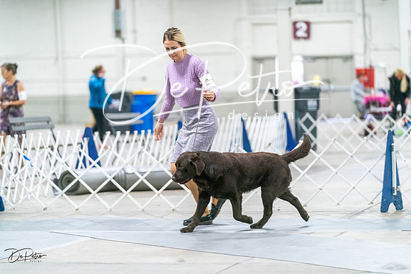 20231029-DSC00007