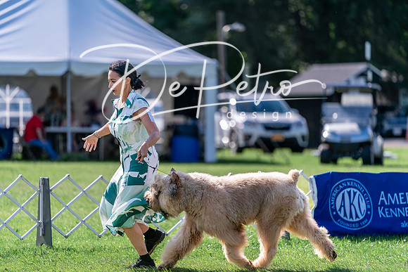 20240630-DSC04847