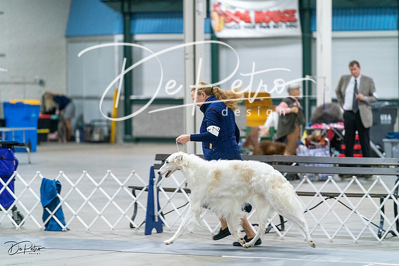 20231029-DSC00107