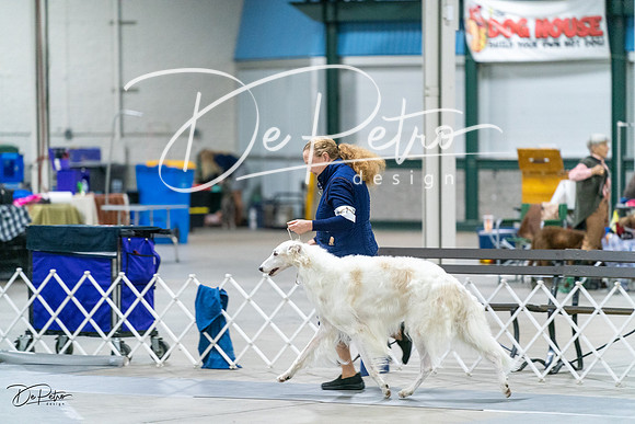 20231029-DSC00112