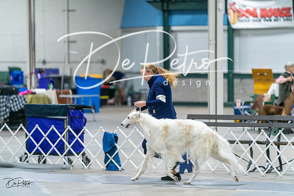 20231029-DSC00113