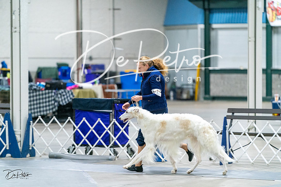 20231029-DSC00117