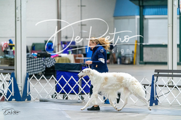20231029-DSC00118