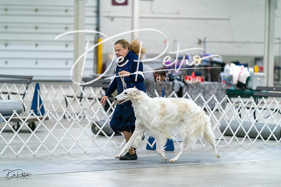 20231029-DSC00126