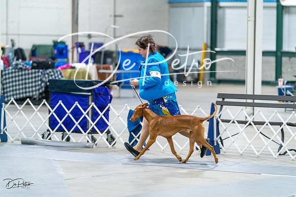 20231029-DSC00136