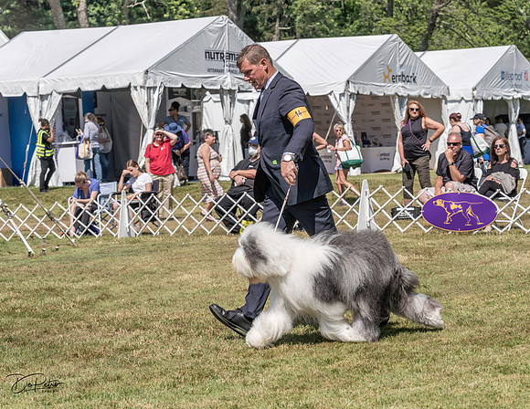 20220620-DSC04064