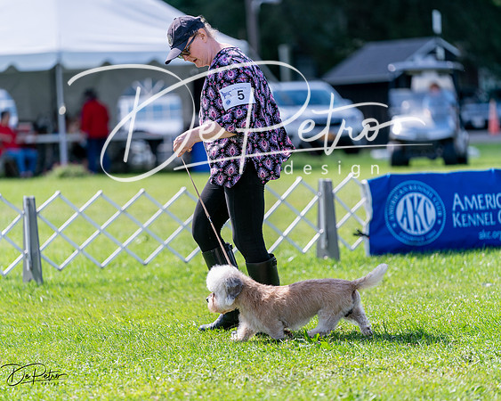 20240630-DSC03442