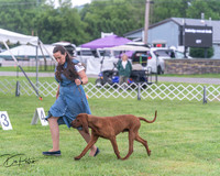 20250626-DSC04383