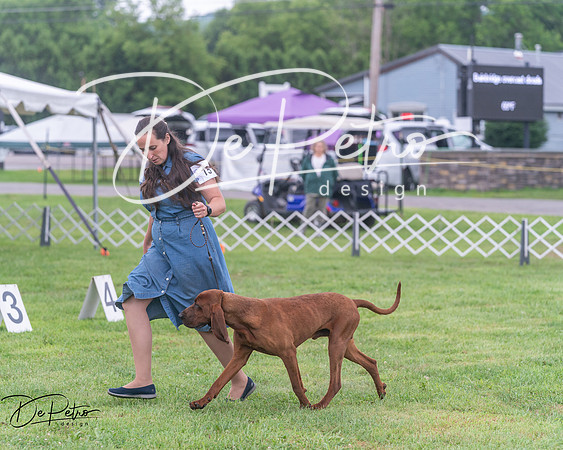 20250626-DSC04383