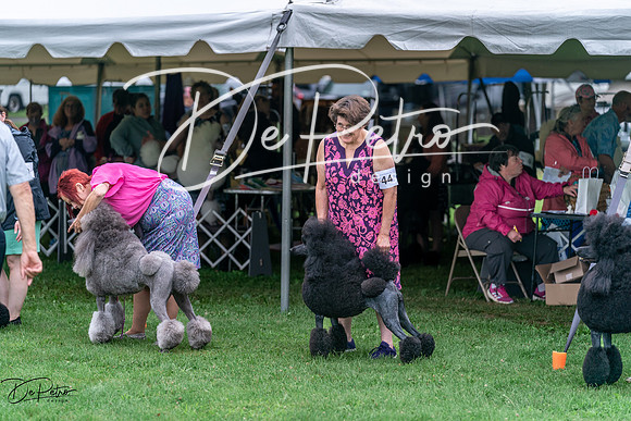 20240629-DSC05711