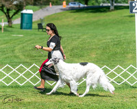 20250629-DSC01091