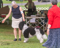 20250628-DSC08907