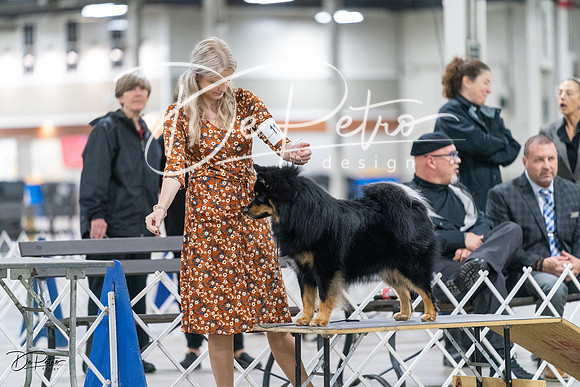 20231029-DSC00962