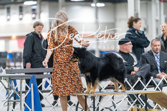 20231029-DSC00963