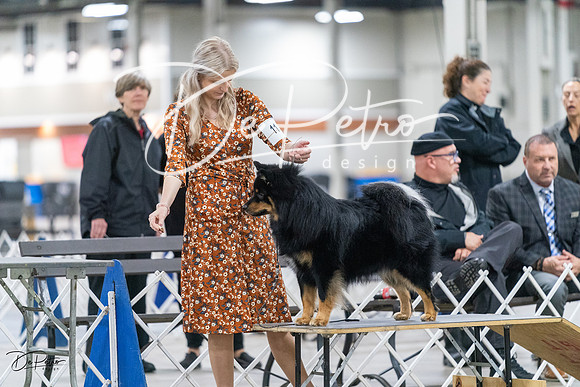 20231029-DSC00964