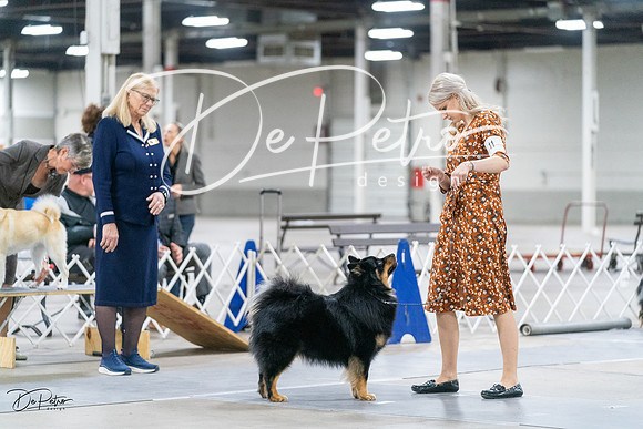 20231029-DSC00969