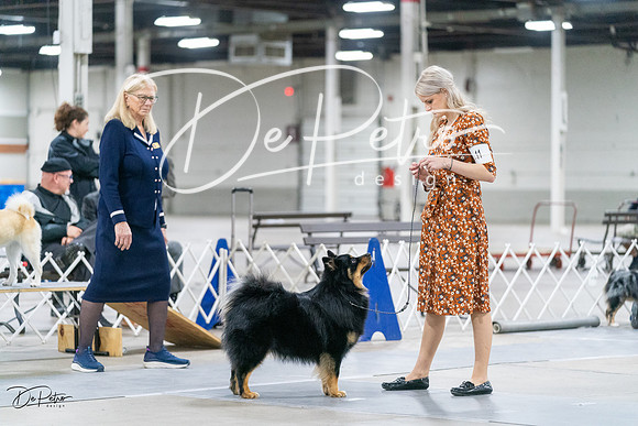 20231029-DSC00972
